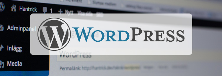 WordPress webbyrå